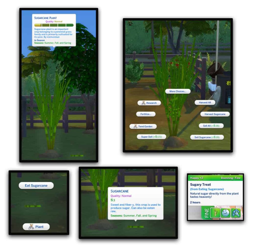 Screenshots for custom harvestable sugarcane taken in-game.
