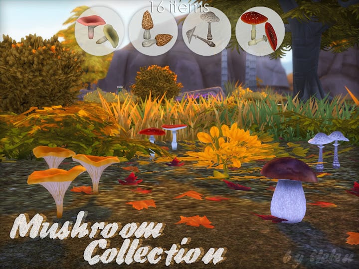 Preview image of Mushroom Collection by Helen-Sims.